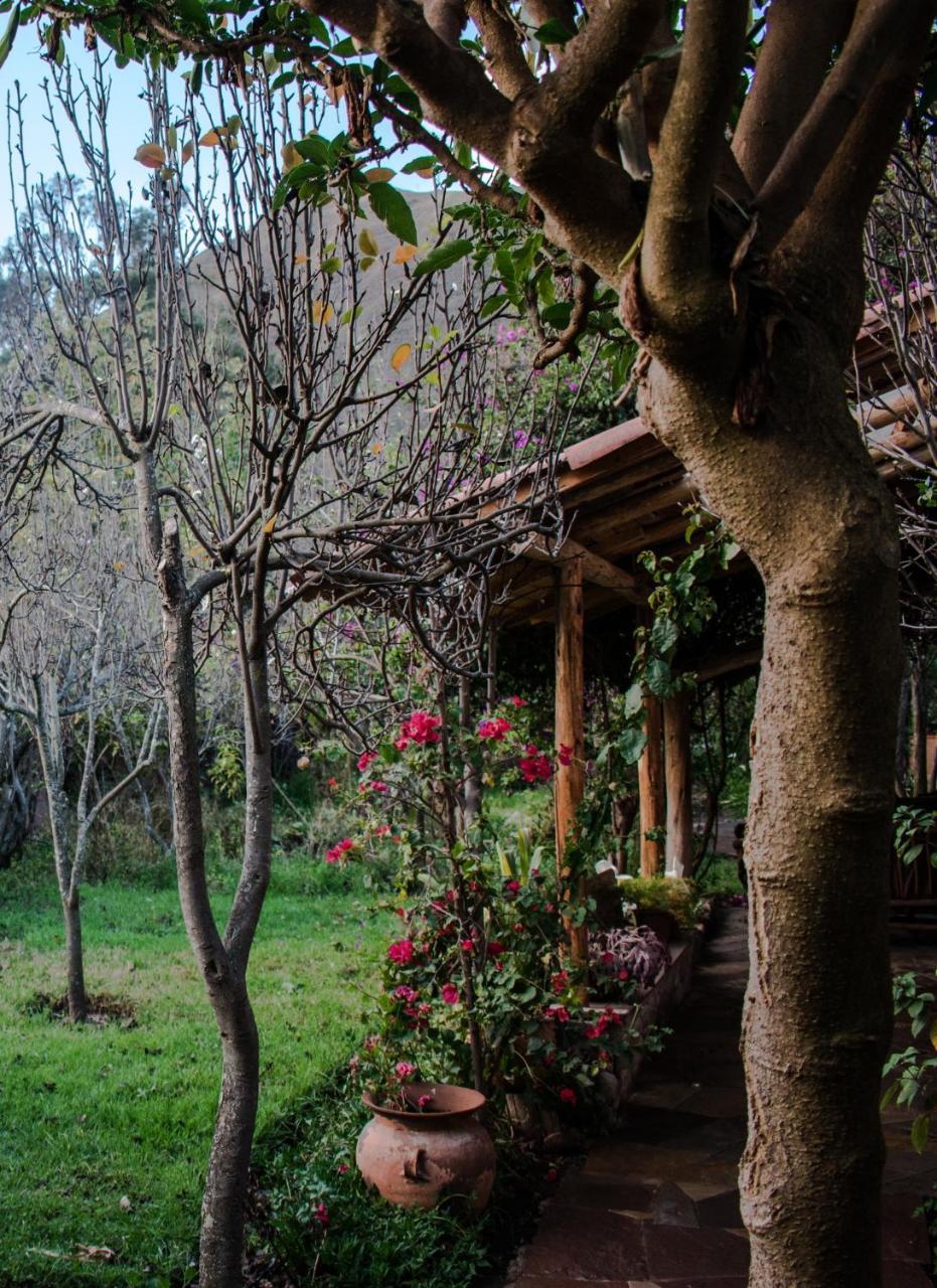 Eco Lodge Los Perales-Urubamba Buitenkant foto